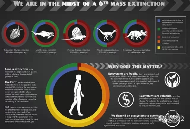 你以为柴静说得已经够严重了吗？更可怕的在这里